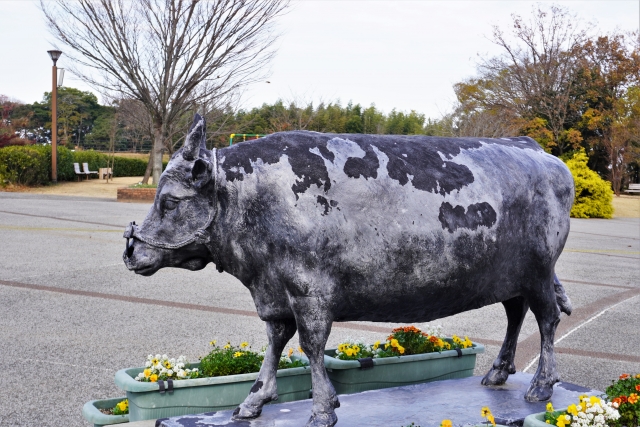 三重県松阪牛の魅力メインビジュアル